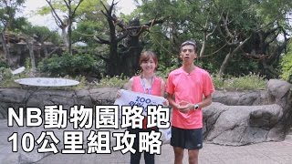 【2016 New Balance 動物園路跑賽】10公里挑戰組攻略