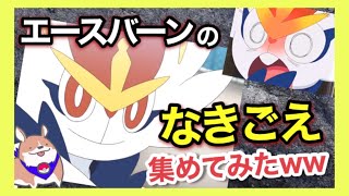 【アニポケ】エースバーン好き集まれ！！ひたすらなきごえシーンを集めてみたww【新無印】【エースバーン】【なきごえ】【ポケモン剣盾】【アニポケ】