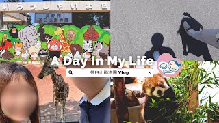 Vlog｜初夏のお出かけ☀️茶臼山動物園へ｜動物達に癒されながらまったり休日も楽しい🦁