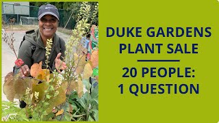 Duke Gardens Plant Sale: 20 People, 1 Question