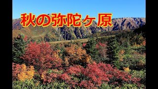 秋の弥陀ヶ原（立山）･紅葉／Midagahara in Tateyama