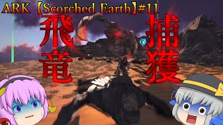 ワイバーンミルクを入手するためワイバーンを捕獲せよ！【ARK/アーク】【ゆっくり実況】スコーチドアース　11話