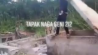 Ilmu tapak naga geni 212