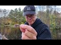 rainbow fishing in brostorp s ponds