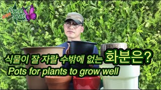 Chooing a pot for your plants to grow well