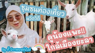 นักการตลาดพช.พาเที่ยวฟาร์มแพะนม​ ใกล้เมืองยะลา | ชุมชนท่องเที่ยวนวัตวิถี