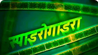 स्पाइरोगाइरा  Spirogyra || Green algae ||