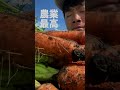 人参の収穫start🥕本当にありがとう！！これからも野菜作り全力でとどけます🧑‍🌾農業最高！！！ 農業 野菜作り 農家 家庭菜園