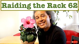 Raiding the Rack 62 - Hibiscus rosa-sinensis + Care Tips