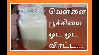 Best organic pesticide for mealy bugs and ants (in tamil)