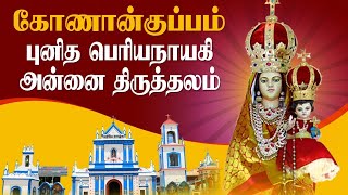 🅻🅸🆅🅴 - 27-11-2024 | Our Lady Periyanayagi Shrine Konankuppam | Wednesday Tamil Mass | Mercy TV