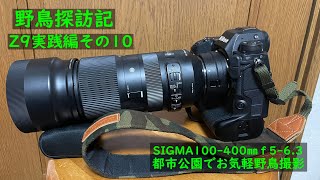 野鳥探訪記　Z9実践編その10 サードパーティー製SIGMA 100-400㎜f5-6.3レンズでお気軽野鳥観察に行く！