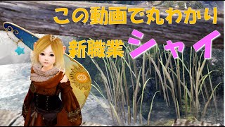 【黒い砂漠 モバイル】この動画で丸わかり！新職業『シャイ』狩り効率検証も！【女性実況】