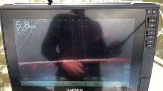 Garmin Livescope Meter+ Murray Cod swing and a miss