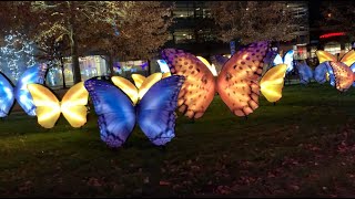 Nationwide Children's Hospital Light Up a Life Display