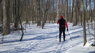 How To Cross-Country Ski: A Beginner's Guide