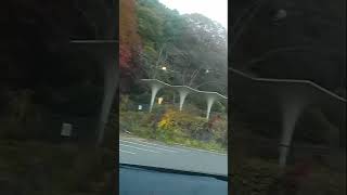 CX30 諏訪の紅葉ドライブ🍁2022/11/6 ①立石公園part1