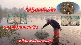 shrimp ใส่มุ้งดักกุ้งฝอยในที่หมายเดิมหมายเด็ดด้วยเหยื่อสูตรเด็ดสูตรเดิม หมานๆ ครับ