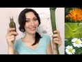 Come fare gli oleoliti di aloe, camomilla e calendula. Sfumaturemakeup