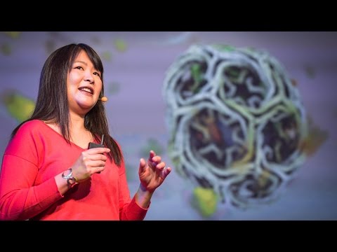 Janet Iwasa: How animations can help scientists test a hypothesis