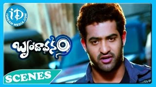 Brindavanam Movie - Jr NTR, Supreeth Fight Scene