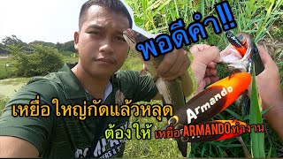 เหยื่อArmando ตามหาปลาช่อนวันหยุด​ เจอหมายเด็ดหน้าท่อ