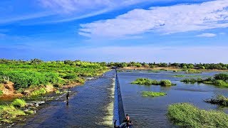 Mangalakurichi Aerial view | Drone | TAC Creations