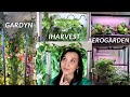 Gardyn vs. iHarvest vs. Aerogarden Farm - Hydroponic Systems Comparison