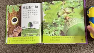 英國eye know科普套書 每個頁碼的秘密