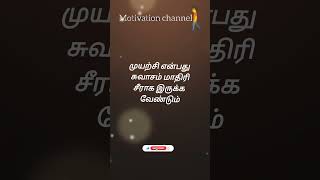 முயற்சி என்பது எப்படி இருக்க வேண்டும் #shortsvideo #inspirationalquotes #tamilmotivationalquotes