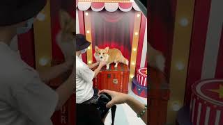 poppy逛寵物展獲得棚拍鑰匙圈/柯基犬/毛小孩（柯基犬日常）Corgi