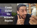 🔵 Como Ciclar Un Acuario Rápido Con Bacterias Heterótrofas Y Algunos Consejos (Acuarios MB)