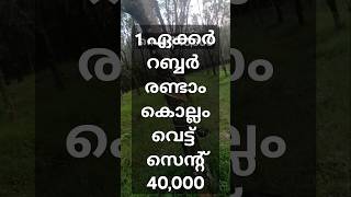 പാലക്കാട്‌ കാരകുറുശ്ശി 1 ഏക്കർ റബ്ബർ സെന്റ് വില 40,000 con 9605637221#shortvideo #shorts #shortsfeed