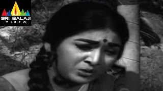 Jeevitha Chakram Movie Vanisri Emotional Scene | NTR, Vanisri, Sharada | Sri Balaji Video