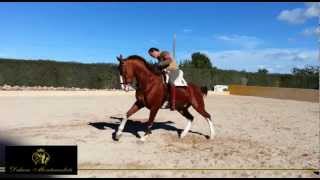 Vicente con Malagueño, increíble Jaca