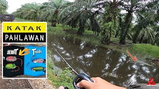 Review SF Terbaru EXP Tuah & EXP Jebat | Haruan Sawit Banjir