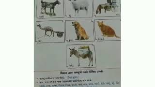 તારીખ:07/08/2020 માધ્યમ: ગુજરાતી ધોરણ: સી. કે. જી  વિષય: સામાન્ય જ્ઞાન ટોપિક : પ્રવૃત્તિ કરો.  નામ: