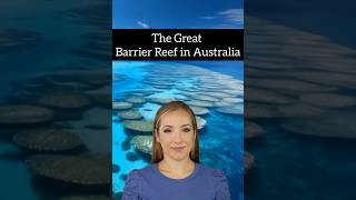 The Great Barrier Reef in Australia - Unlimited Entertainment #shorts #reels  #fyp #status #whatsapp