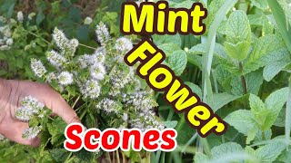 Spearmint Flower Scones - full of flower flavor!