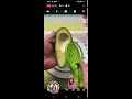 Let's eat avocado,yummy na healthy pa.#asmr #viral #satisfying,thank u po sa tamsak and gudnyt.