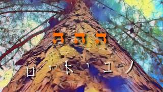 הארת הלב העליון - נביאים