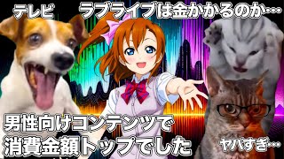 ラブライブは金がかかる、と正式にテレビで証明されてしまった件【猫ミーム】 #猫マニ #猫ミーム