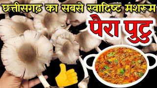 छत्तीसगढ़ का स्वादिष्ट मशरुम पैरा पुटु की सब्जी/Mushroom Curry/पैरा पुटु की सब्जी/Paddy Mushroom