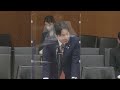 2023年4月11日 衆議院 地域・こども・デジタル特別委員会