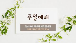 2025.01.31 금요기도하모니