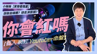 我會紅嗎？成名的自媒體Youtuber\u0026藝人命格 ｜小姊姊紫微看職業