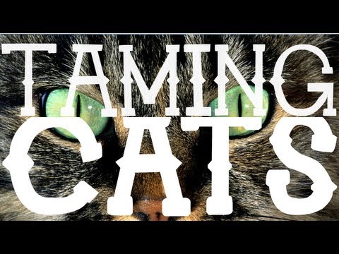 Simple Ocelot Taming! (Tutorial) Minecraft 1.6 Simple Ocelot Taming! (Tutorial) Minecraft 1.6