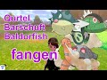 Qurtel, Barschuft, Baldorfish fangen | Pokemon Schwert und Schild