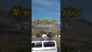 キャンパーバンについて紹介します！ #ニュージーランド #travel #ワーキングホリデー #キャンピングカー生活 #vanlife