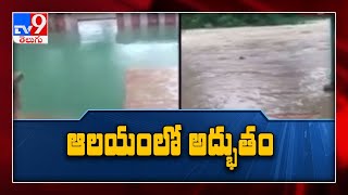 Miracle in the temple : Flood water all around... Purity in the pool - TV9